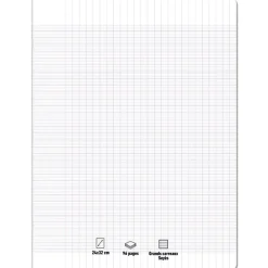 Les prix Mini - Cahier 24 x 32 cm - 96 pages - grands carreaux (Seyes)