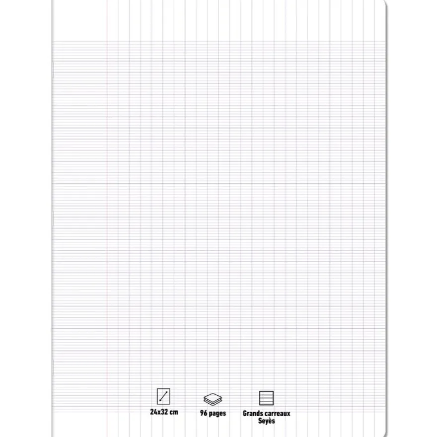 Les prix Mini - Cahier 24 x 32 cm - 96 pages - grands carreaux (Seyes)
