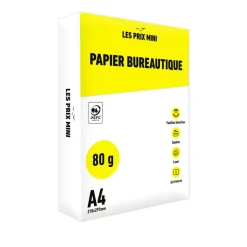 Les Prix Mini - Papier blanc - A4 (210 x 297 mm) - 80 g/m² - 2500 feuilles (carton de 5 ramettes)