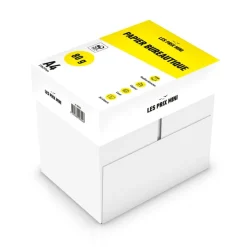 Les Prix Mini - Papier blanc - A4 (210 x 297 mm) - 80 g/m² - 2500 feuilles (carton de 5 ramettes)