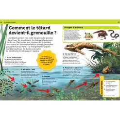 Livre La grande encyclopédie illustrée dès 7 ans