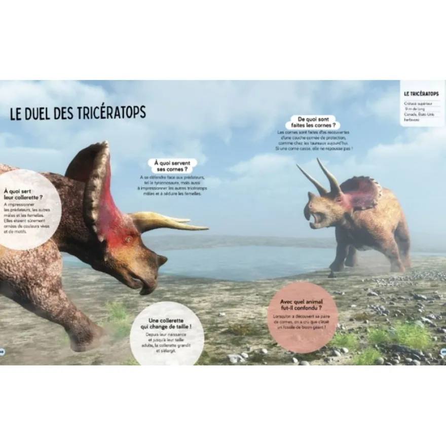 Livre Questions Réponses Tous les dinosaures