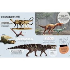 Livre Questions Réponses Tous les dinosaures