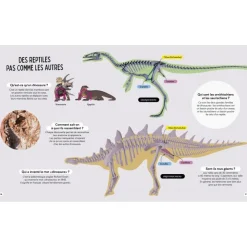 Livre Questions Réponses Tous les dinosaures
