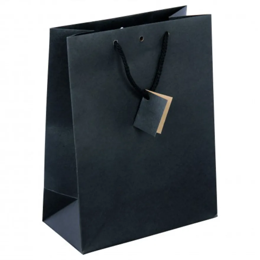 Logistipack - 10 Sacs cadeau kraft - poignées cordelières - 25 cm x 13 cm x 33 cm - noir