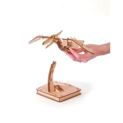 Maquette bois 3D - Pterosaure - 31 pièces