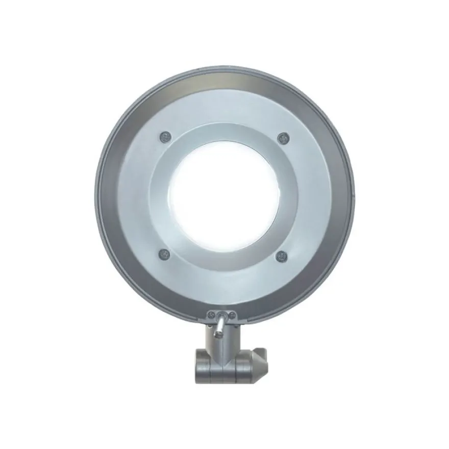 MaulBusiness - Lampe de bureau LED intégré - basse consommation 11W - argent