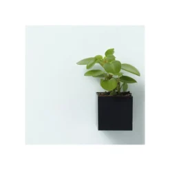 Naga - Pot à marqueurs aimanté - carré 6 x 6 x 6 cm