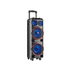 NGS WILD DUB 1 - enceinte de soirée - sans fil - avec batterie intégrée - noir