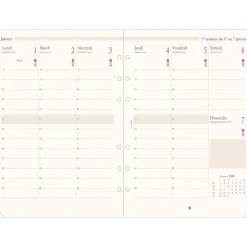 Oberthur - Recharge pour organiseur - 1 semaine sur 2 pages (semainier français) - 14,5 x 23,5 cm