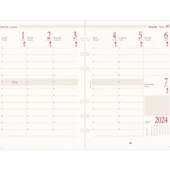 Oberthur - Recharge pour organiseur - 1 semaine sur 2 pages (semainier international) - 14,5 x 23,5 cm