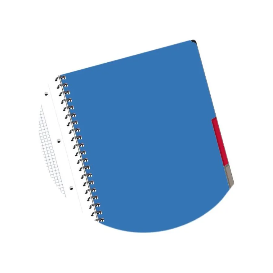 Oxford Etudiants - Cahier Multinotes A4+ (24 x 29,7 cm) - 160 pages - petits carreaux (5x5 mm) - avec 3 intercalaires repositionnables