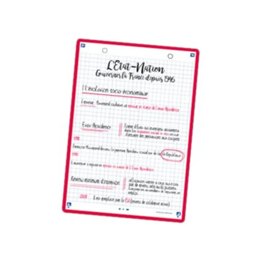 Oxford REVISION 2.0 - Pack de 32 Fiches Bristol Scribzee - A6 - petits carreaux - non perforées - blanc