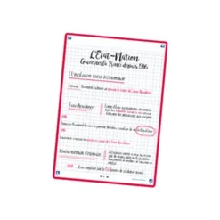 Oxford REVISION 2.0 - Pack de 32 Fiches Bristol Scribzee - 14,8 x 21 cm - petits carreaux - perforées - couleurs assorties