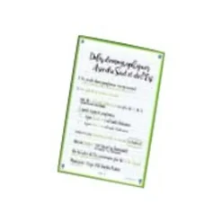 Oxford REVISION 2.0 - Pack de 32 Fiches Bristol Scribzee - A5 - petits carreaux - perforées - couleurs assorties