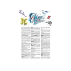 Petit Larousse illustré 2026