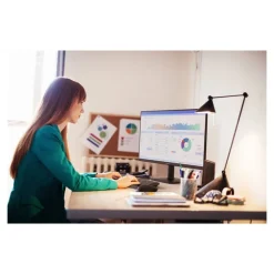 Philips 24E2N1100LB - Ecran LED 24" - 1920 x 1080 Full HD - HDMI, VGA - noir