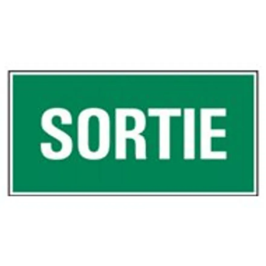 Pickup - Panneau de signalisation - 300 x 150 mm - Sortie