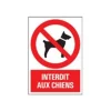 Pickup - Panneau Interdit aux chiens - 230 x 330 mm