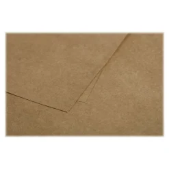 Pollen - 25 Cartes - 82 x 128 mm - 200 g/m² - kraft