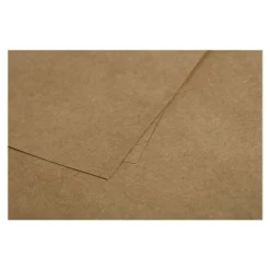 Pollen - 25 Cartes - 160 x 160 mm - 200g/m² - kraft