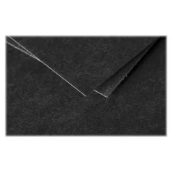 Pollen - 20 Enveloppes - 110 x 220 mm - 120 g/m² - noir
