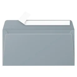 Pollen - 20 Enveloppes - 110 x 220 mm - 120 g/m² - argent