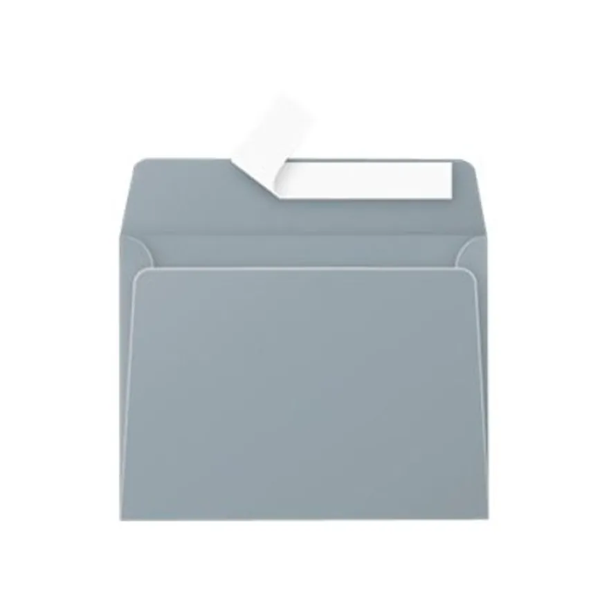 Pollen - 20 Enveloppes - 90 x 140 mm - 120 g/m² - argent