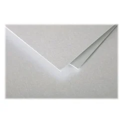 Pollen - 20 Enveloppes - 90 x 140 mm - 120 g/m² - argent