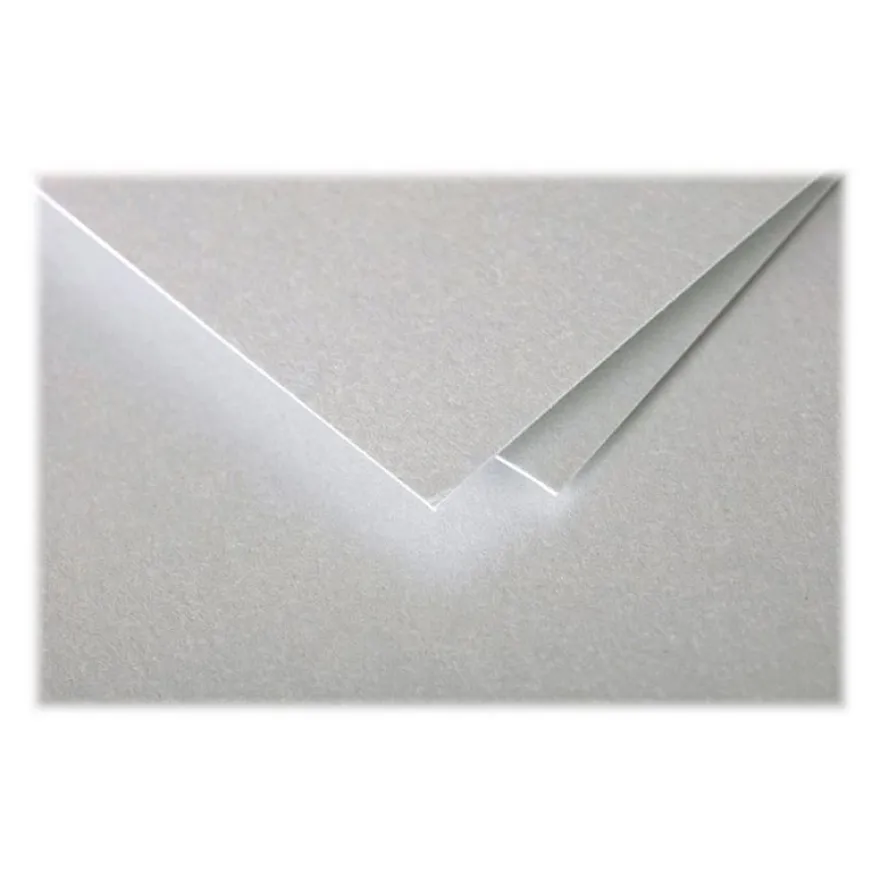 Pollen - 20 Enveloppes - 90 x 140 mm - 120 g/m² - argent