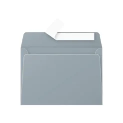 Pollen - 20 Enveloppes - 114 x 162 mm - 120 g/m² - argent