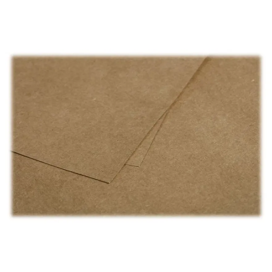 Pollen - 20 Enveloppes gommées - 162 x 229 mm - 135 g/m² - kraft