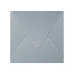 Pollen - 20 Enveloppes gommées - 165 x 165 mm - 120 g/m² - argent