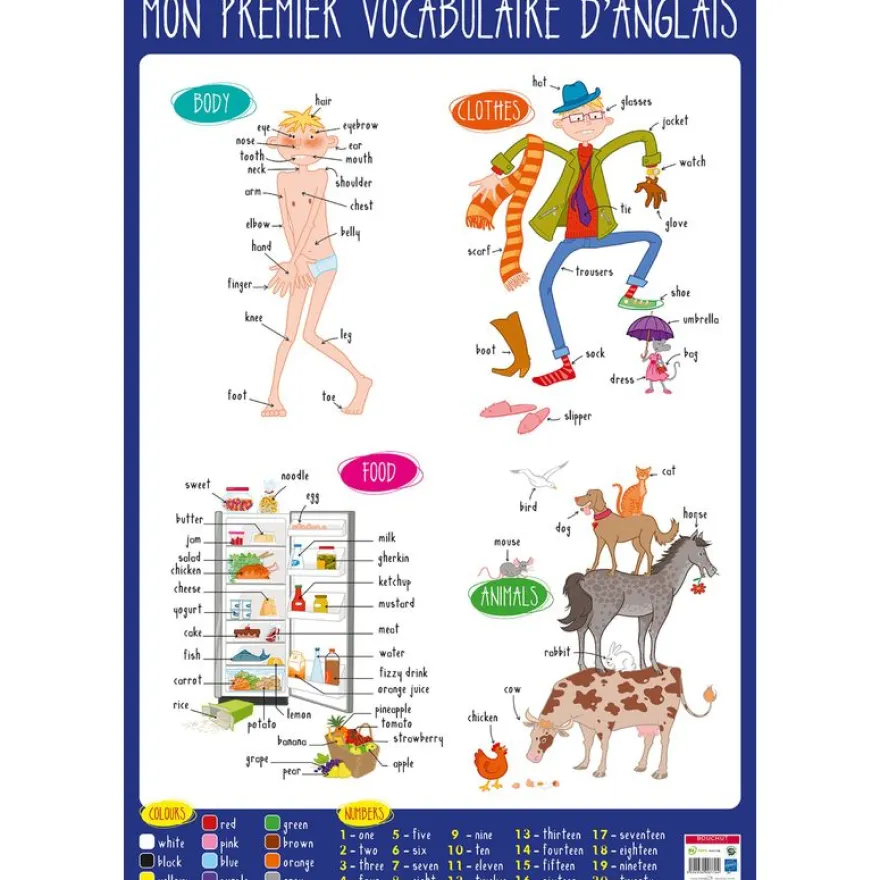Poster pédagogique Anglais - 52 x 76 cm - Bouchut