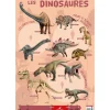 Poster pédagogique Dinosaures - 52 x 76 cm - Bouchut
