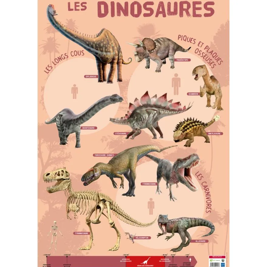 Poster pédagogique Dinosaures - 52 x 76 cm - Bouchut