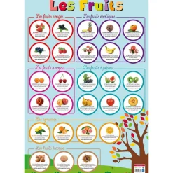 Poster pédagogique Fruits - 52 x 76 cm - Bouchut
