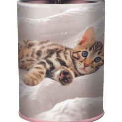 Pot a crayons chaton - 6,7 x 10,7 cm - Oberthur