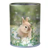 Pot a crayons Lapin - 6,7 x 10,7 cm - Oberthur