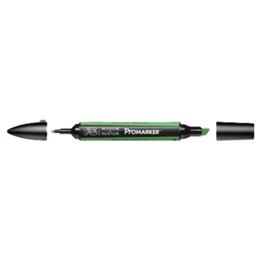 ProMarker - Marqueur double pointe - vert pelouse