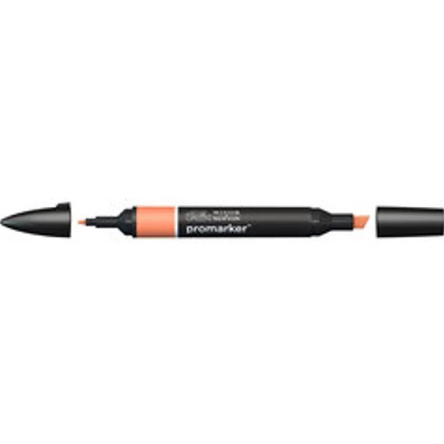 ProMarker - Marqueur double pointe - pêche