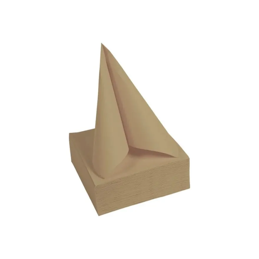 Pronappe - 40 Serviettes - Taille 38 x 38 cm - jetable - ficelle marron