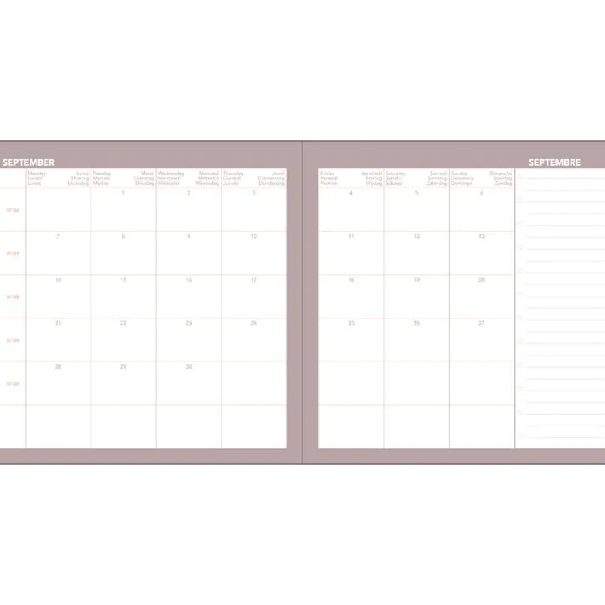 Quo Vadis - Agenda année scolaire - 2026-2027 - Exécutif Septembre Color - Semainier Planning - Multilingue - Céleste - Rose - 13 mois de août à août - 16x16 cm