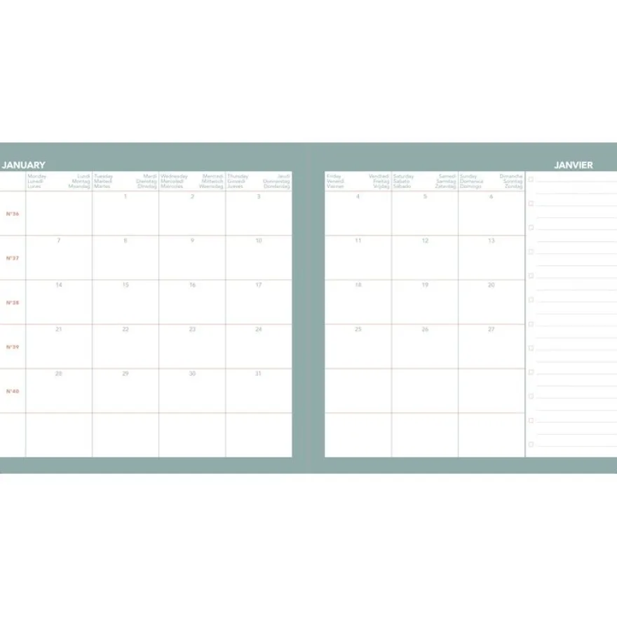 Quo Vadis - Agenda année scolaire - 2026-2027 - Exécutif Septembre Color - Semainier Planning - Multilingue - Festy - Rose - 13 mois de août à août - 16x16 cm