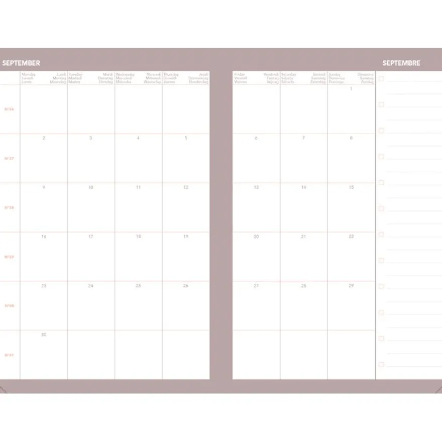 Quo Vadis - Agenda année scolaire - 2026-2027 - Universitaire Color - Semainier Planning - Multilingue - Festy - Rose - 13 mois de août à août - 10x15 cm