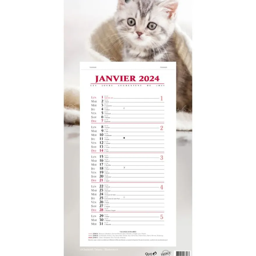 Quo Vadis Animaux - Calendrier bloc mensuel - 16 x 33,5 cm