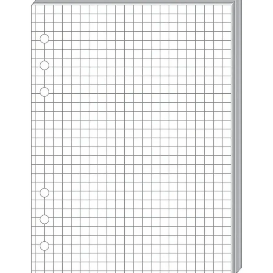 Quo Vadis Timer 17 - Recharge pour organiseur - 10 x 17 cm - bloc-notes blanc