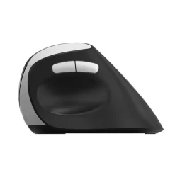Rapoo EV250 - Souris sans fil ambidextre - Noir