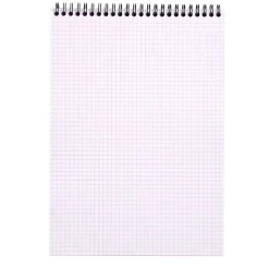 Rhodia - Bloc notes à spirale - A4 - 80 pages - petits carreaux