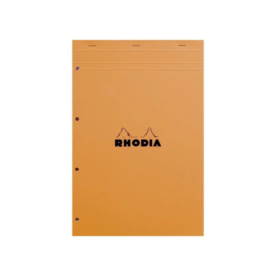 Rhodia Basics - Bloc notes - A4 + - 160 pages - petits carreaux - 80g - perforé